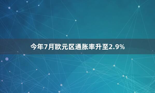 今年7月欧元区通胀率升至2.9%