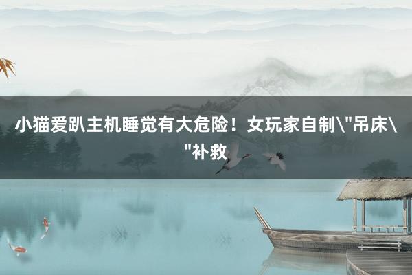 小猫爱趴主机睡觉有大危险！女玩家自制＂吊床＂补救