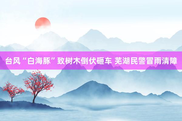 台风“白海豚”致树木倒伏砸车 芜湖民警冒雨清障