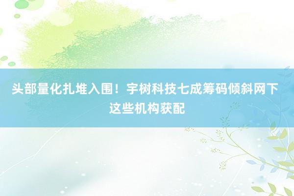 头部量化扎堆入围！宇树科技七成筹码倾斜网下 这些机构获配