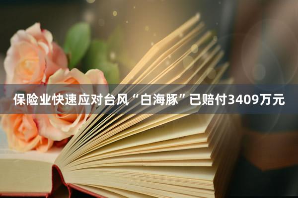 保险业快速应对台风“白海豚”已赔付3409万元