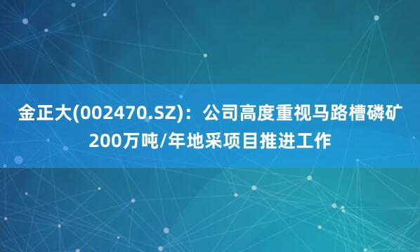 金正大(002470.SZ)：公司高度重视马路槽磷矿200万吨/年地采项目推进工作