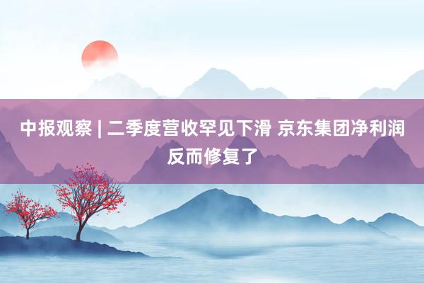 中报观察 | 二季度营收罕见下滑 京东集团净利润反而修复了