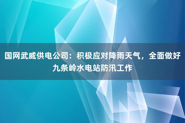 国网武威供电公司：积极应对降雨天气，全面做好九条岭水电站防汛工作