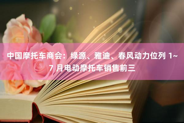 中国摩托车商会：绿源、雅迪、春风动力位列 1~7 月电动摩托车销售前三
