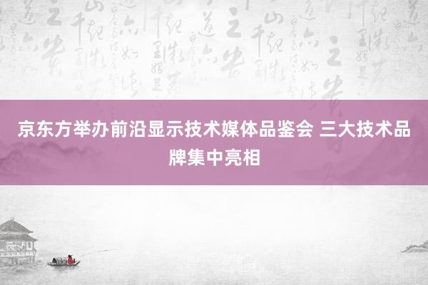 京东方举办前沿显示技术媒体品鉴会 三大技术品牌集中亮相