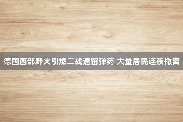 德国西部野火引燃二战遗留弹药 大量居民连夜撤离