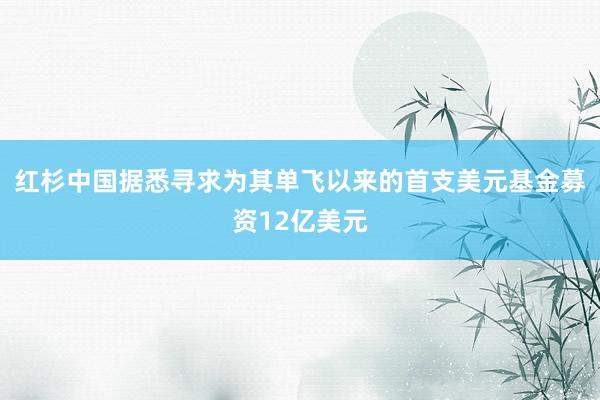 红杉中国据悉寻求为其单飞以来的首支美元基金募资12亿美元