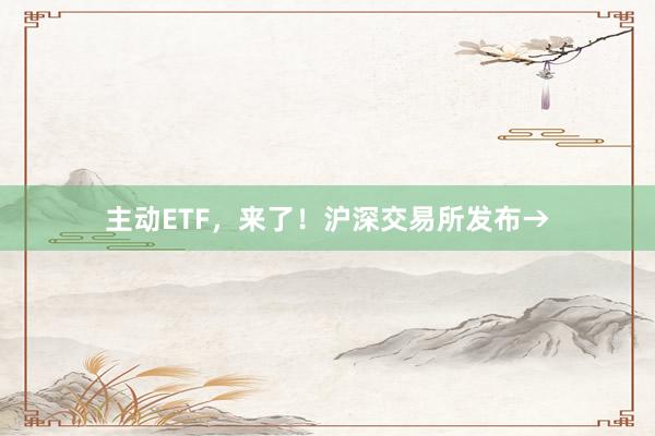 主动ETF，来了！沪深交易所发布→