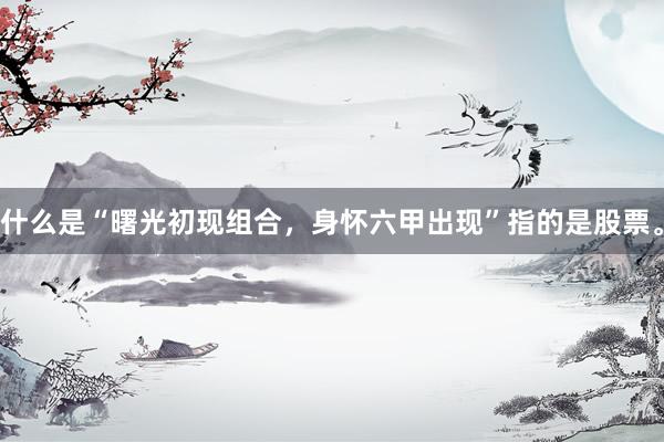 什么是“曙光初现组合，身怀六甲出现”指的是股票。