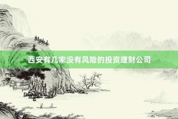 西安有几家没有风险的投资理财公司