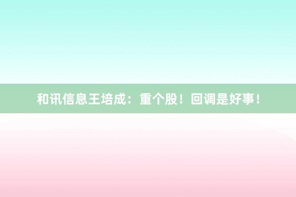 和讯信息王培成：重个股！回调是好事！