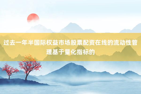 过去一年半国际权益市场股票配资在线的流动性管理基于量化指标的