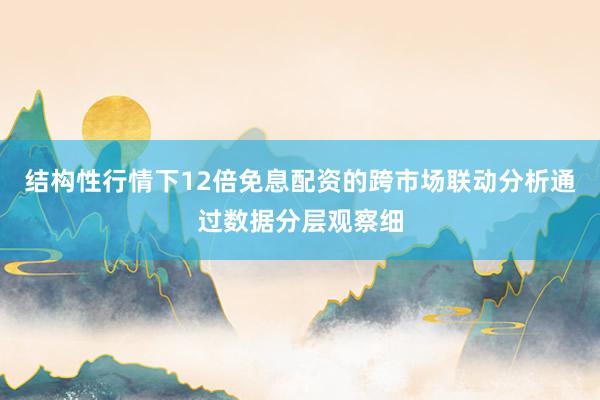 结构性行情下12倍免息配资的跨市场联动分析通过数据分层观察细