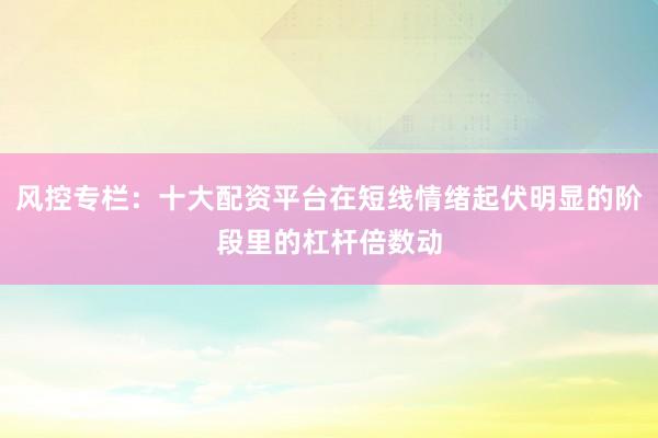 风控专栏：十大配资平台在短线情绪起伏明显的阶段里的杠杆倍数动