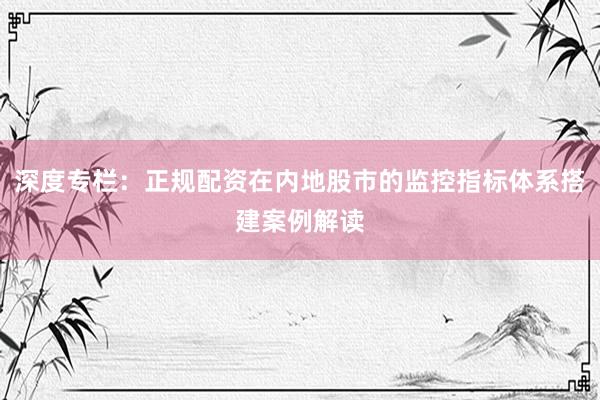 深度专栏：正规配资在内地股市的监控指标体系搭建案例解读