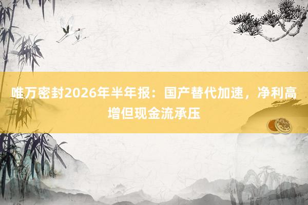 唯万密封2026年半年报：国产替代加速，净利高增但现金流承压