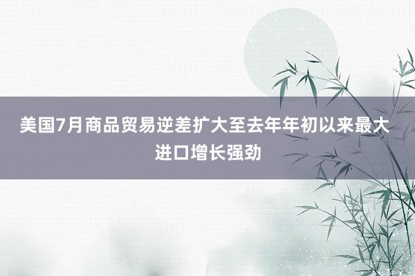 美国7月商品贸易逆差扩大至去年年初以来最大 进口增长强劲