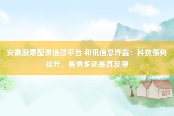 安徽股票配资信息平台 和讯信息许鑫：科技强势拉升，是诱多还是真反弹