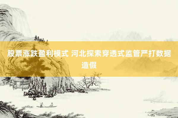 股票涨跌盈利模式 河北探索穿透式监管严打数据造假