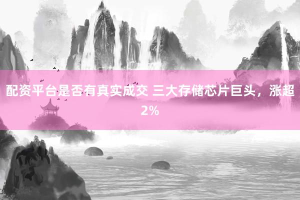 配资平台是否有真实成交 三大存储芯片巨头，涨超2%