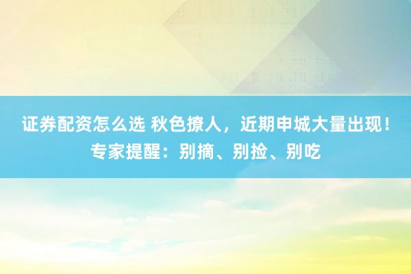 证券配资怎么选 秋色撩人，近期申城大量出现！专家提醒：别摘、别捡、别吃