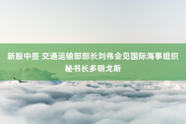 新股中签 交通运输部部长刘伟会见国际海事组织秘书长多明戈斯